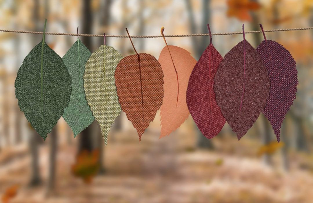 Interior Interests – A Seasonal Shift Interior-Interests-A-Seasonal-Shift-banner-image